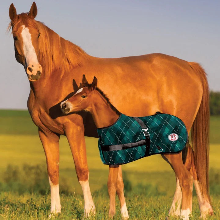 Growing Foal Rug Emerald Diamond
