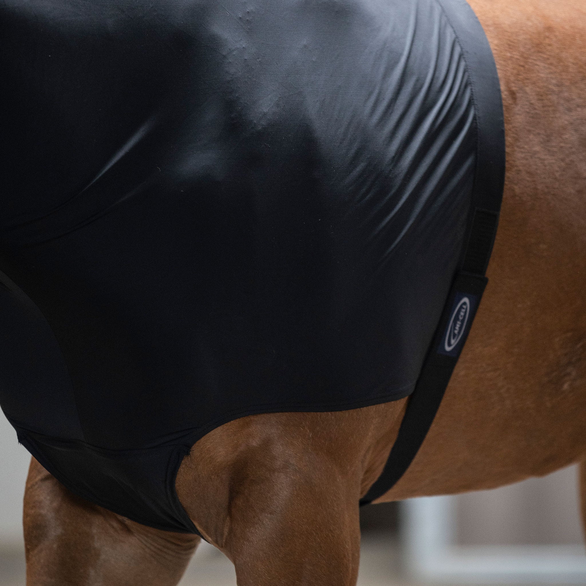 Lami-Cell Lyrca Hood with Chest Protection