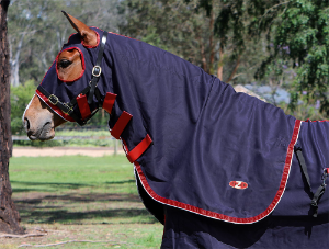 Zilco Show Circuit Cotton Hood