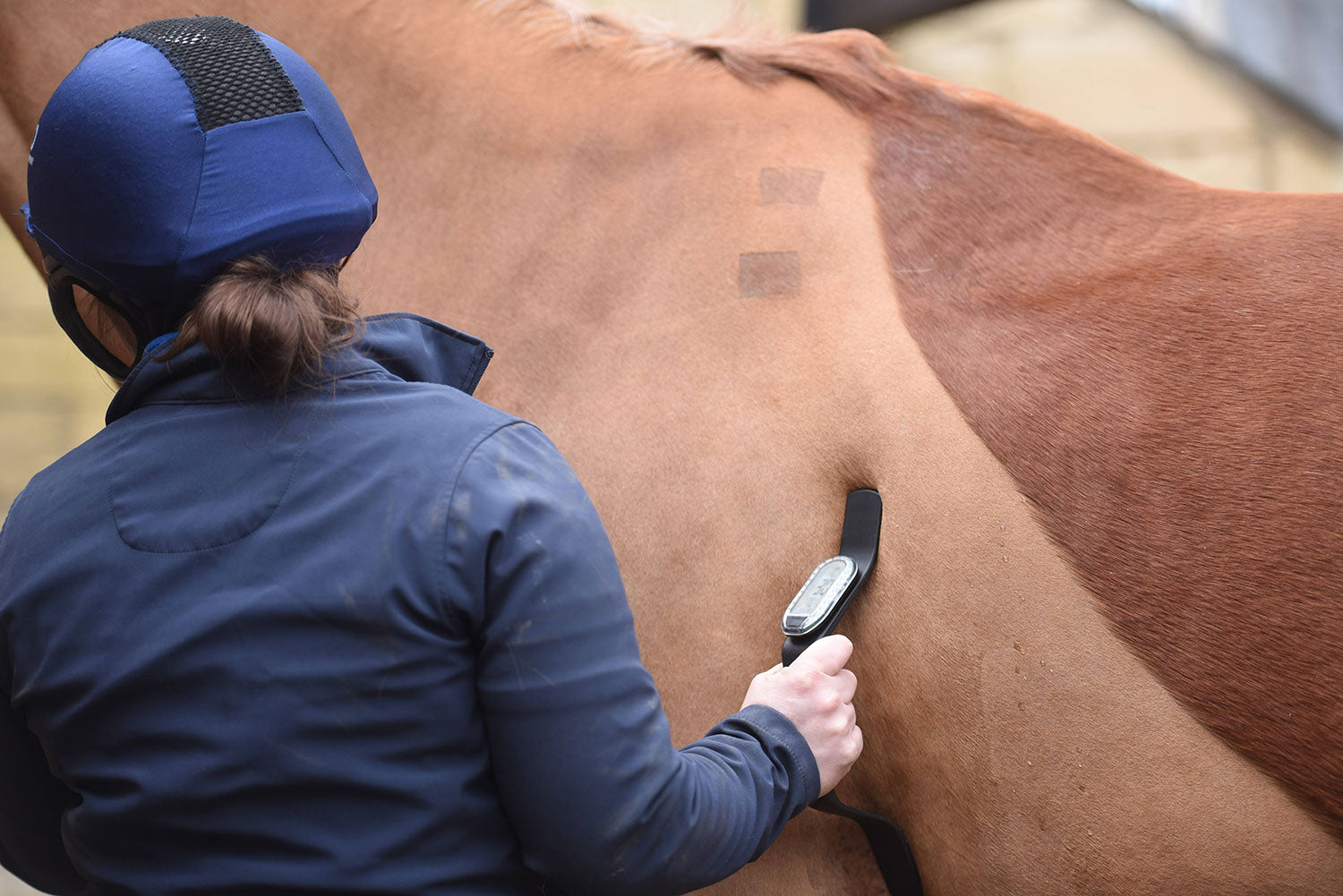 Horsepal Heart Rate Monitor G2 Health Kit - Strapping only