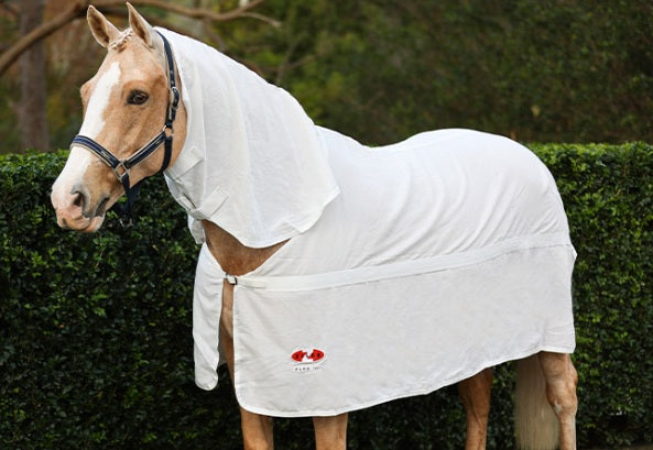 Zilco Flag Combo Rug