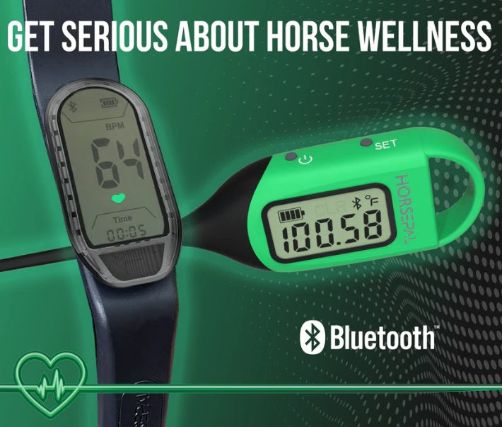 HORSEPAL EQUINE HEALTH CHECK - HEART RATE MONITOR & THERMOMETER