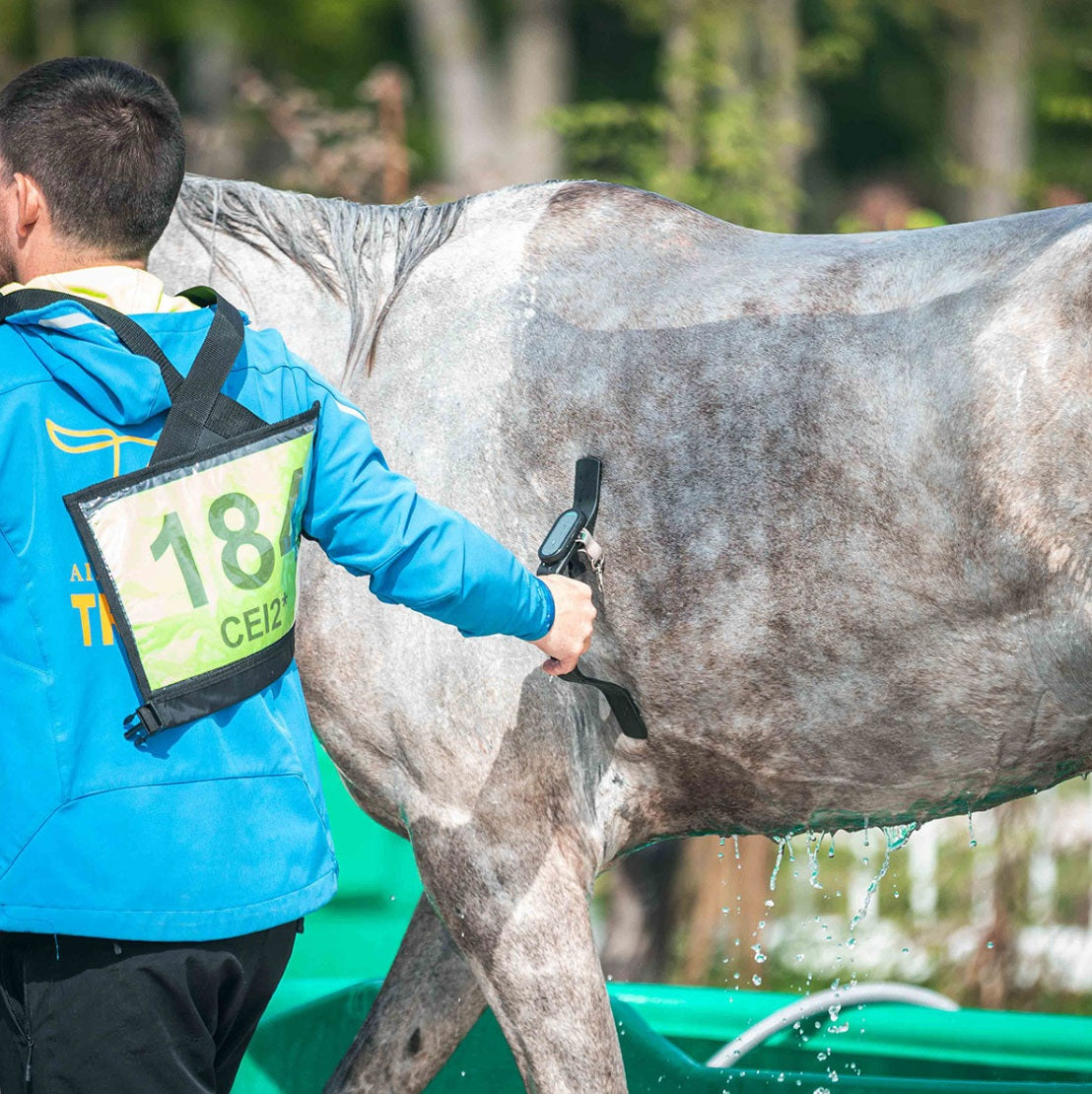 HORSEPAL EQUINE HEALTH CHECK - HEART RATE MONITOR & THERMOMETER