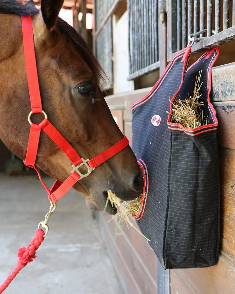 Heavy Duty Hay Bag