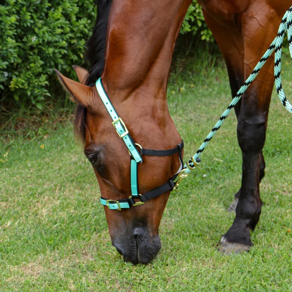 Zilco Overlay Halter