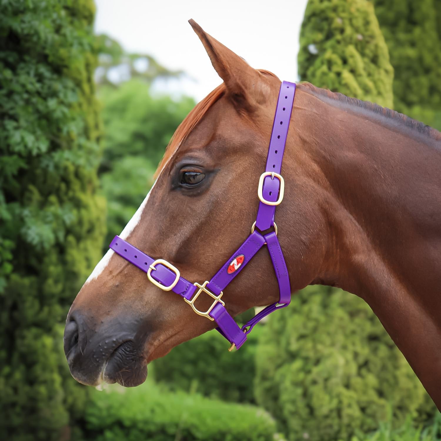 Zilco 25mm PN Headstall