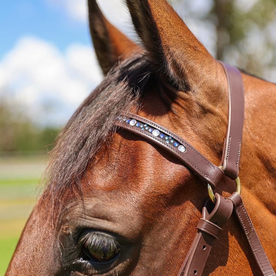 Oregon Bling Barcoo Bridle