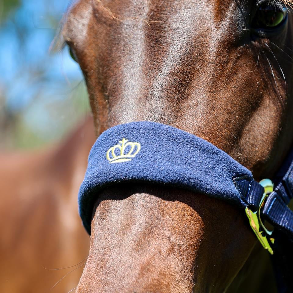 Gold Crown Halter