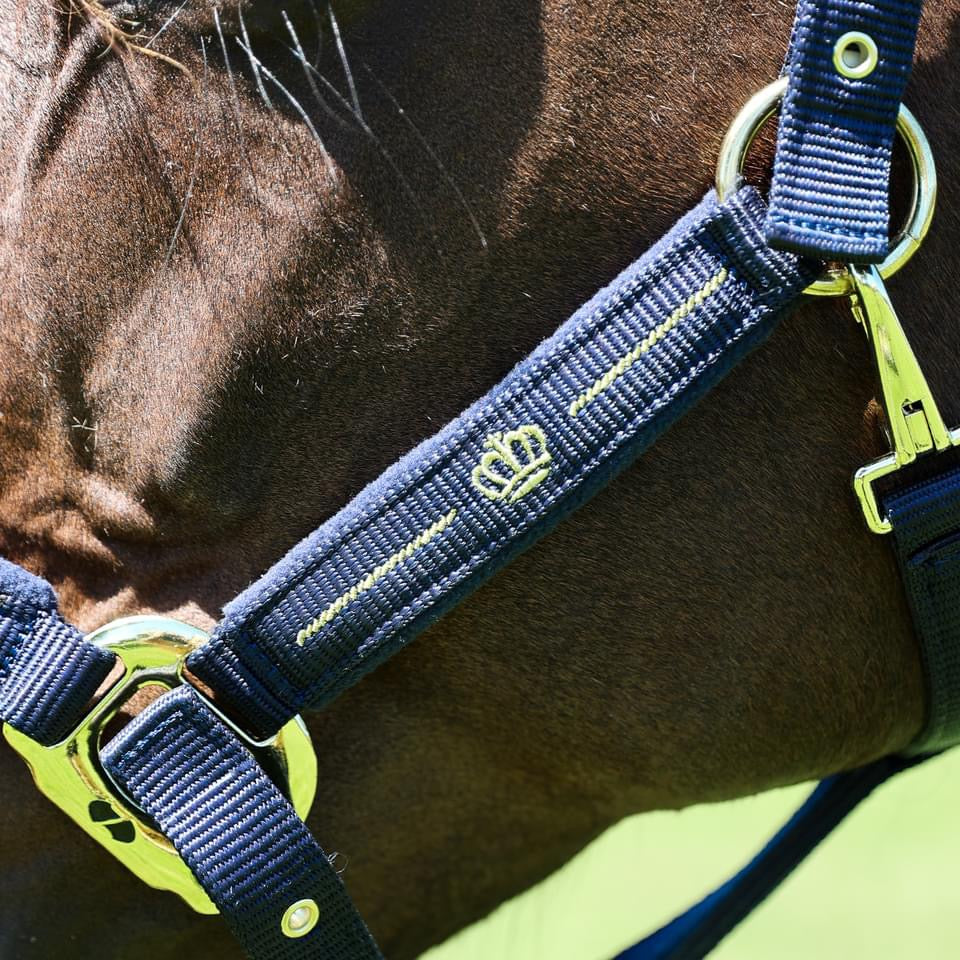 Gold Crown Halter