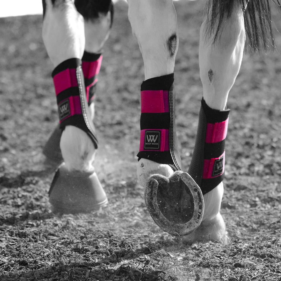 Woof Wear Colour Fusion Brushing Boot