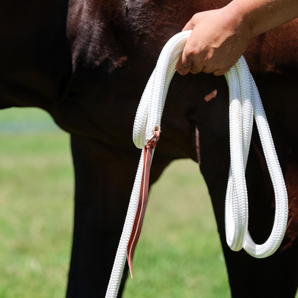 Training Lead-Trigger Snap