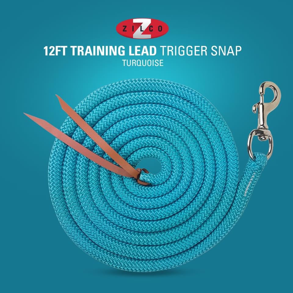 Training Lead-Trigger Snap