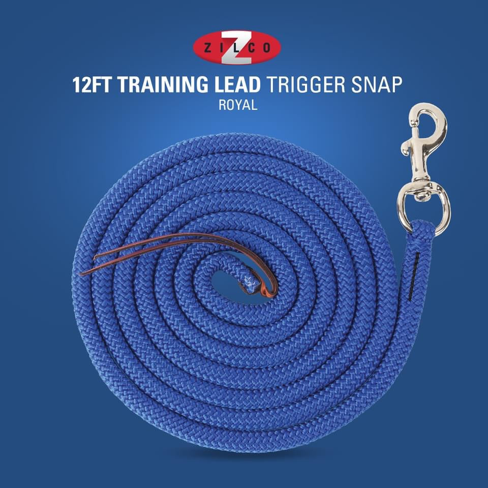 Training Lead-Trigger Snap