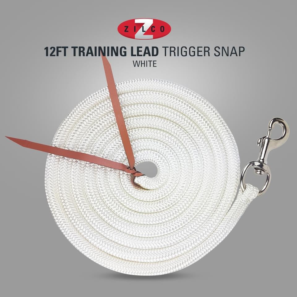 Training Lead-Trigger Snap