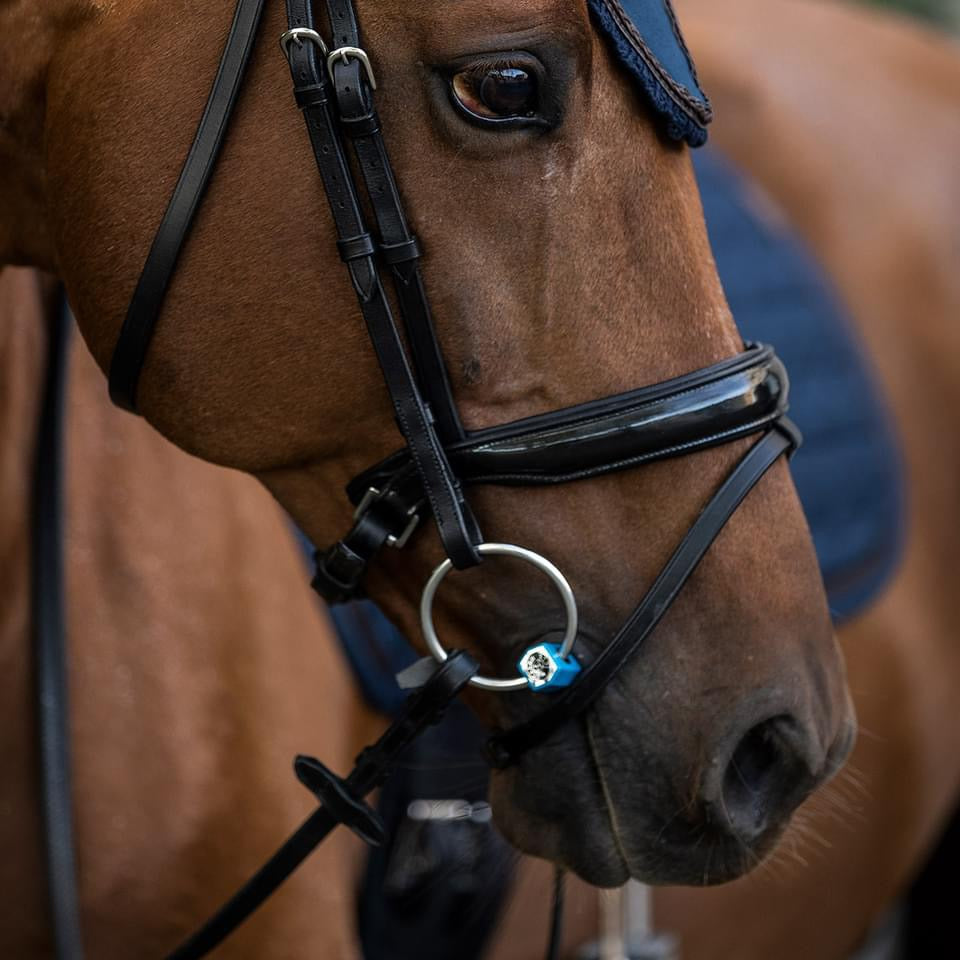Snaffle Flexible Port Bit