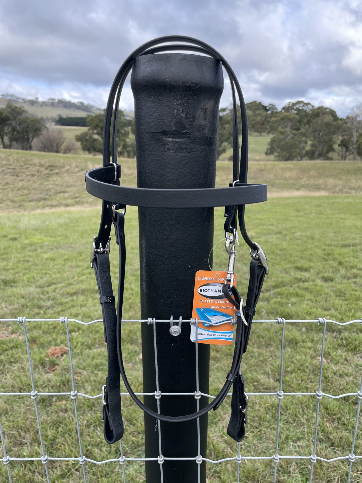Beta Biothane Bridle - Light Hardware