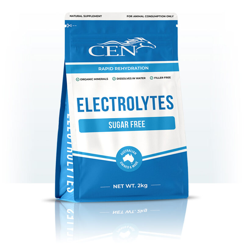 CEN Horse Electrolytes Supplement