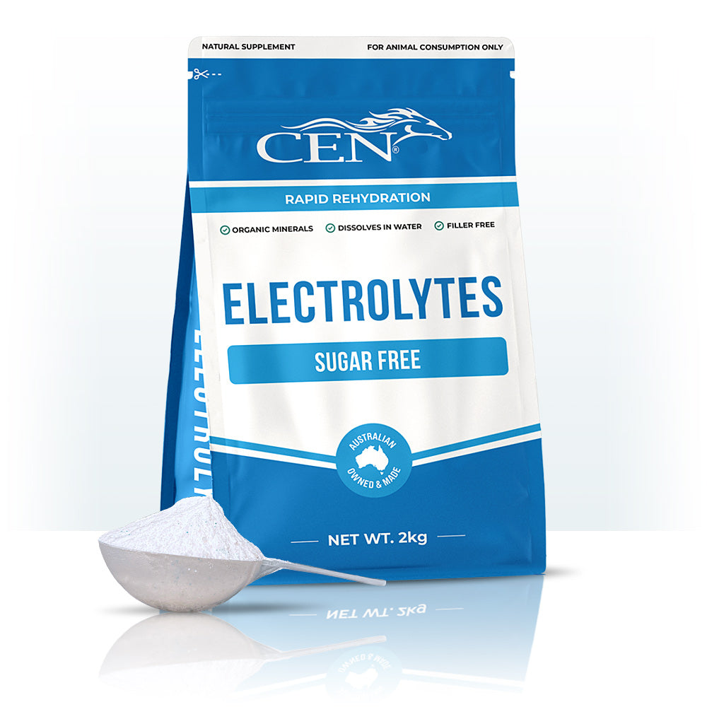 CEN Horse Electrolytes Supplement