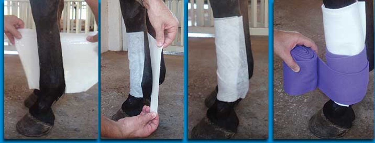 Decron Leg Wrap Poultice