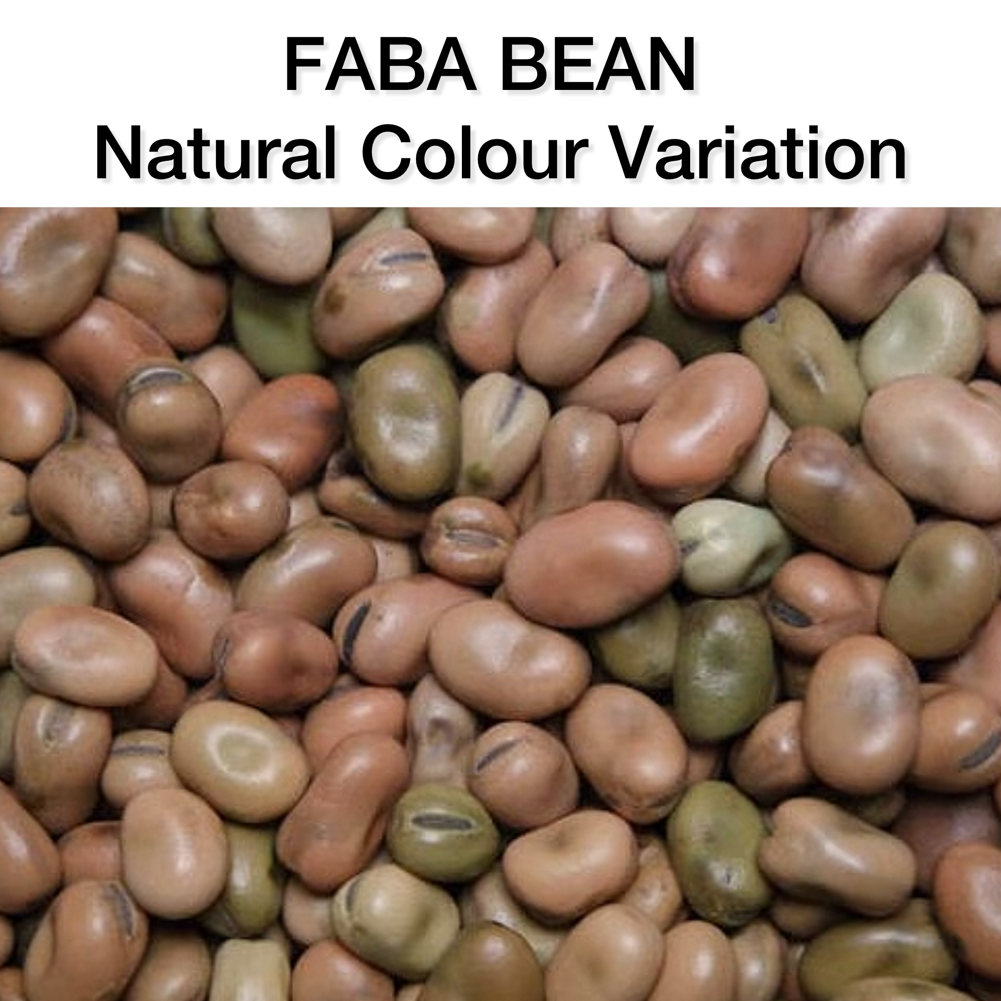 CF50 Grain-Free Equine Multivitamin & Mineral Pellet