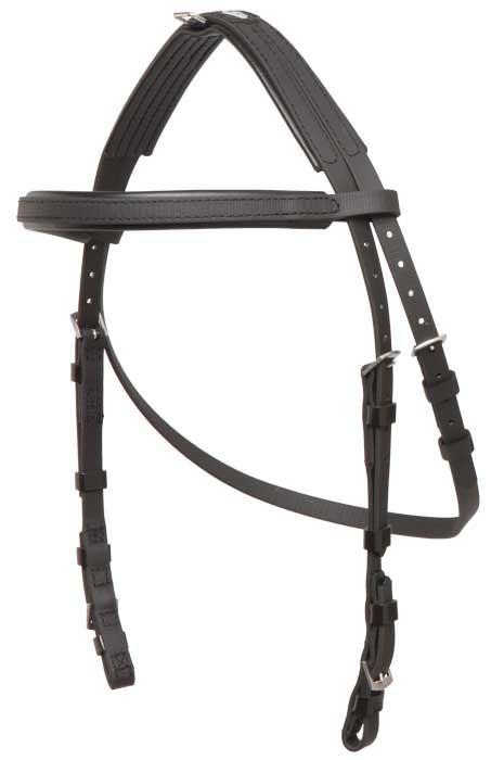 Hackamore Bridle Head