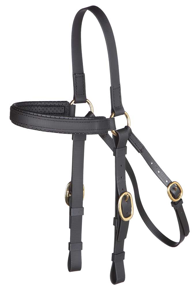 Barcoo Bridle
