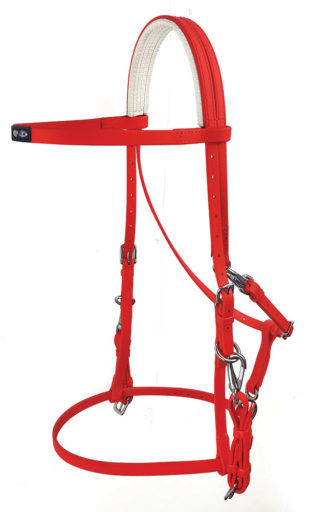Ultra Endurance Bridle