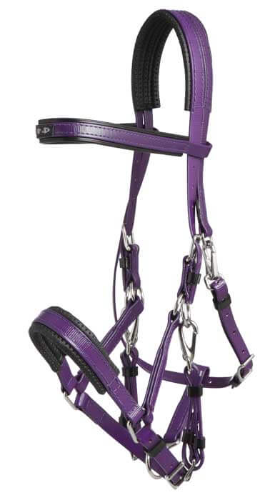 Marathon Bridle Arab Size