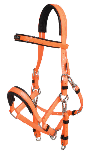 Marathon Bridle Full Size