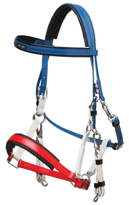 Marathon Tri Colour Bridle Arab or Full Size