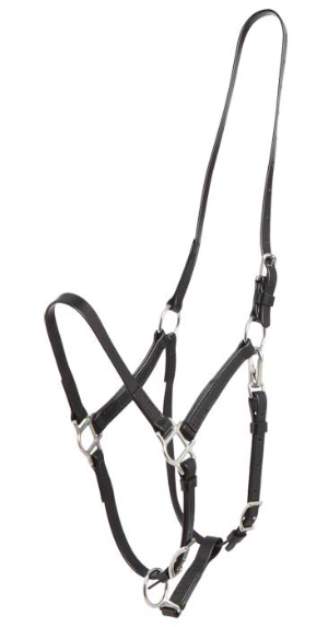 Deluxe Endurance Halter Part