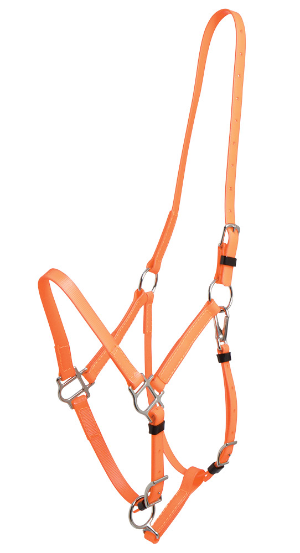 Deluxe Endurance Bridle