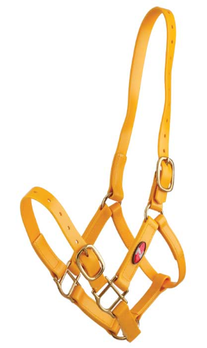 Zilco 25mm PN Headstall