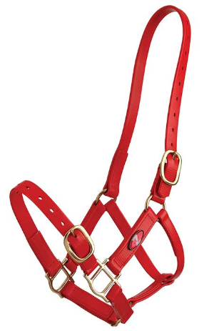 Zilco 25mm PN Headstall