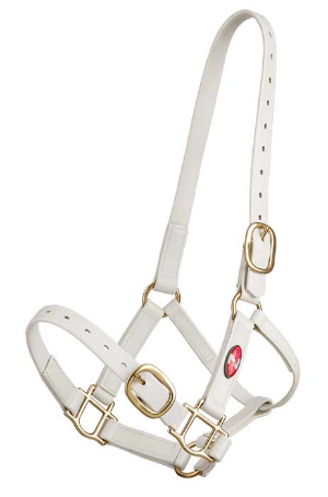 Zilco 25mm PN Headstall