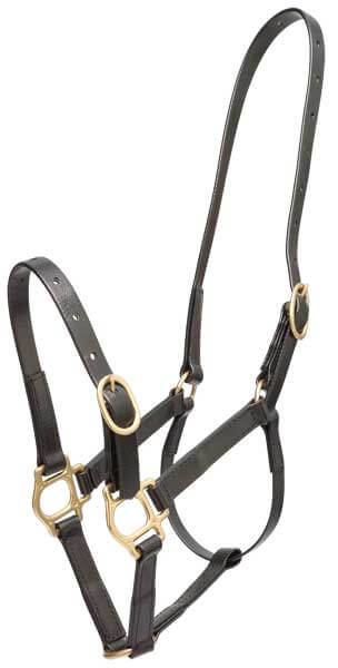Zilco 19mm PN Headstall