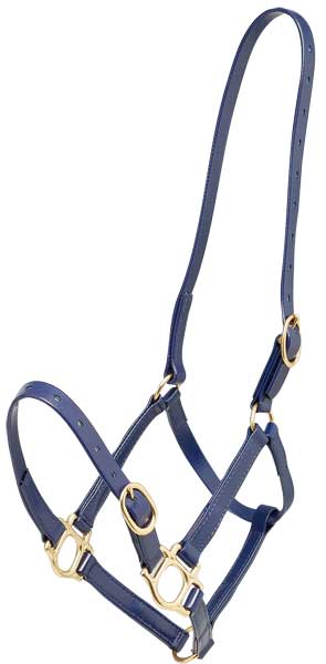 Zilco 19mm PN Headstall