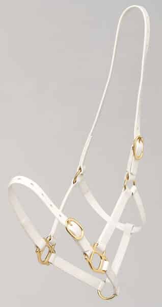 Zilco 19mm PN Headstall