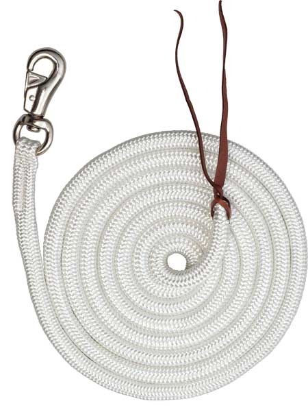 Training Lead - Bull Snap