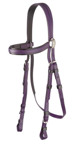 SS Race Bridle Black Trim