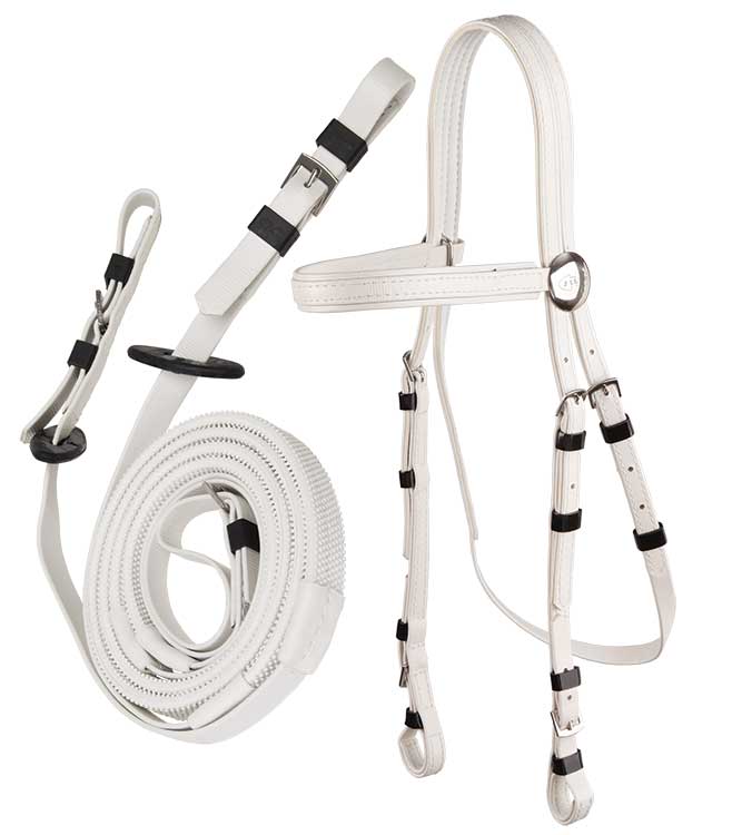 SS Race Bridle/Buckle Reins