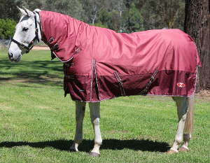 Zilco Explorer 200 Combo