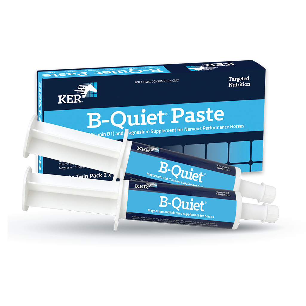 KER B-Quiet Paste Twin Pack