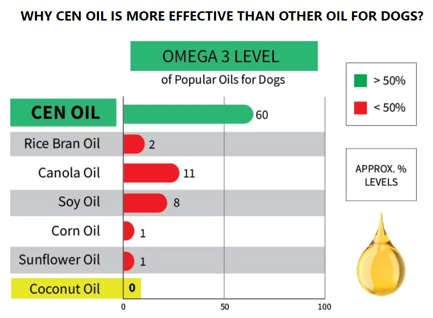 CEN Oil For Dogs
