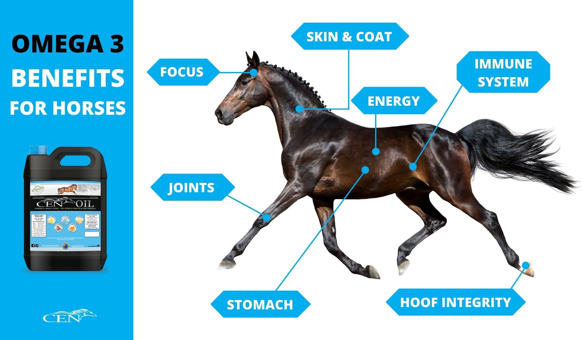 CEN Oil – First Cold Pressed Flaxseed Oil For Horses 4.5L