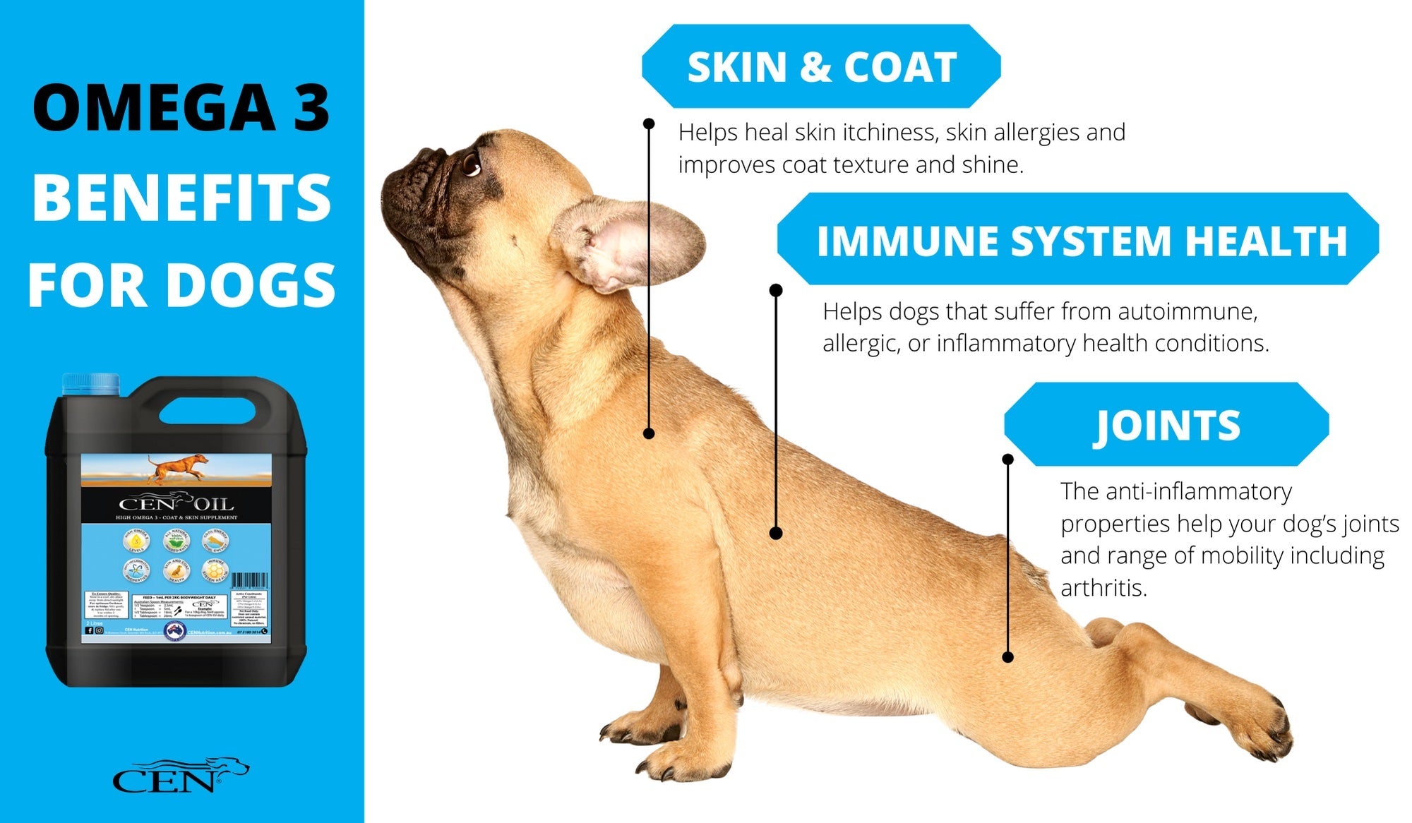 CEN Oil For Dogs