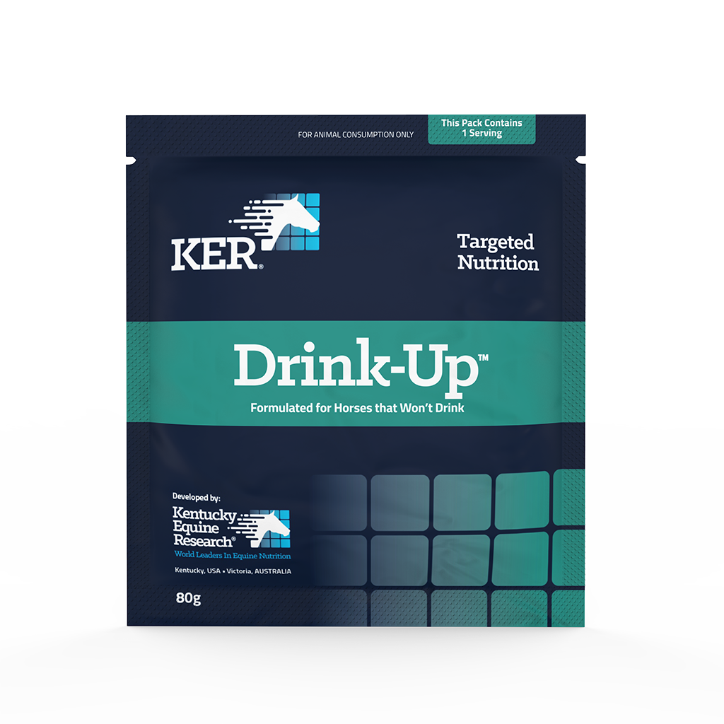 KER Drink Up Sachets