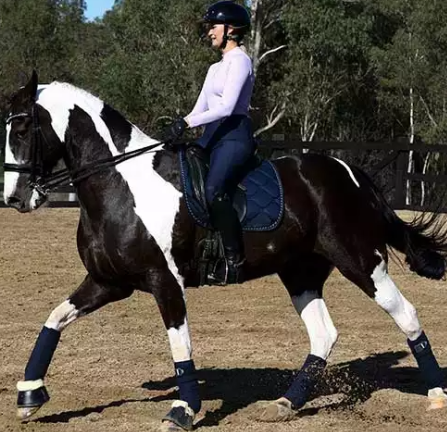 PERFORMAride Summer Riding Tights Navy