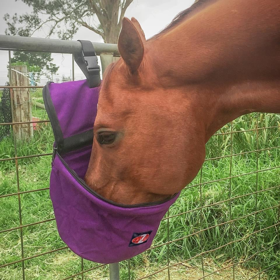 Collapsible Feed Bag