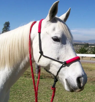 Australian Made Padded Rope Halter